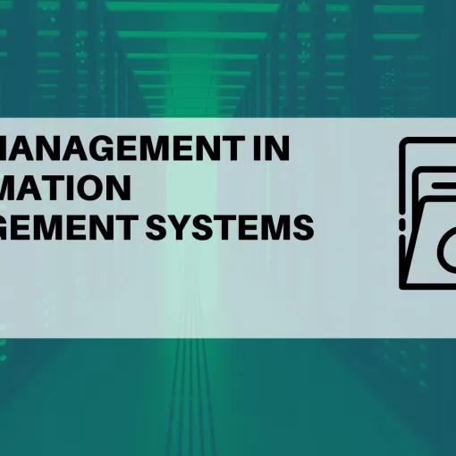 DATA MANAGEMENT in information management systems