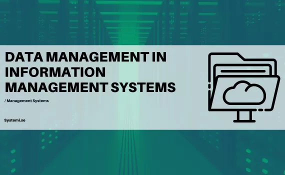 DATA MANAGEMENT in information management systems